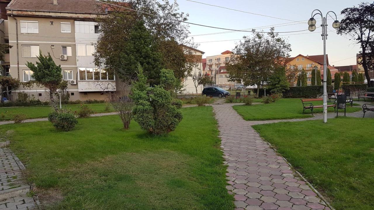 Apartament Ema Băile Felix Exteriér fotografie